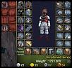 Click image for larger version

Name:	Inventory_3.5_full_expanded.jpg
Views:	969
Size:	24.8 KB
ID:	5953