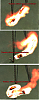 Click image for larger version

Name:	firepet.gif
Views:	548
Size:	158.3 KB
ID:	79